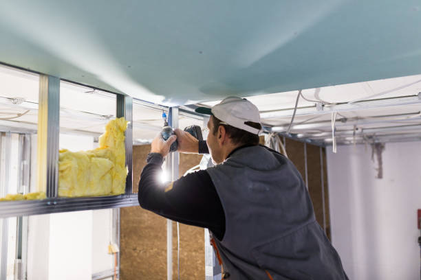 Best Insulation Maintenance and Repair in Elwood, IL