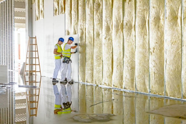 Best Types of Insulation in Elwood, IL